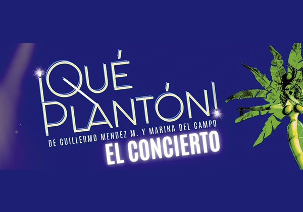 Qué Plantón poster nuevo