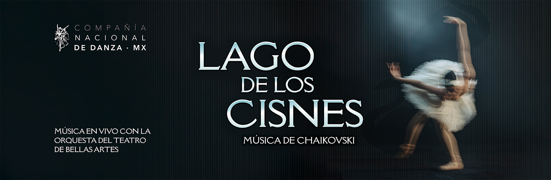 Lago de los Cisnes